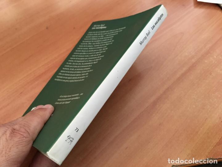 Libros de segunda mano: LOS EUCALIPTOS (MURRAY BAIL) PRIMERA EDICION 2000 (LB40) - Foto 2