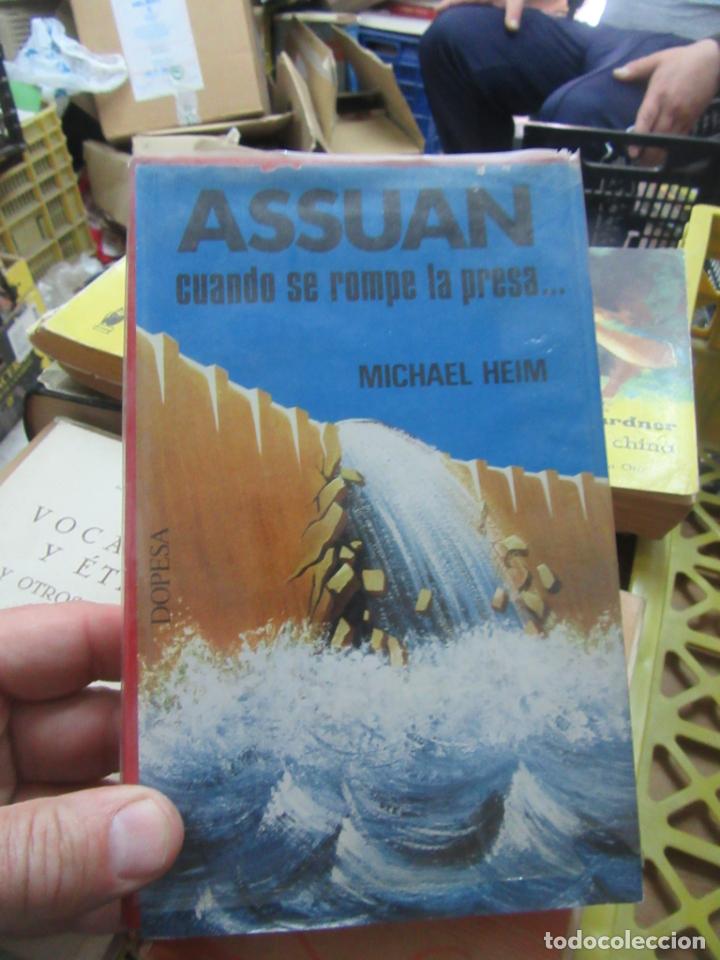 Libros de segunda mano: Assuan, Michael Heim. L.12331-349 - Foto 1