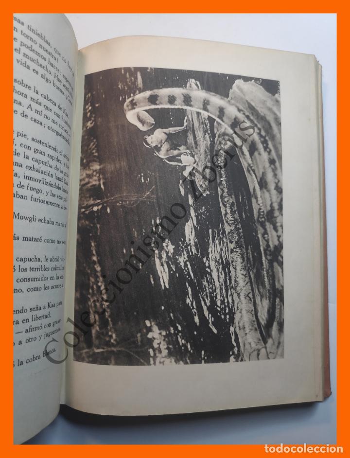Libros de segunda mano: El libro de las tierras virgenes - Rudyard Kipling - Foto 4