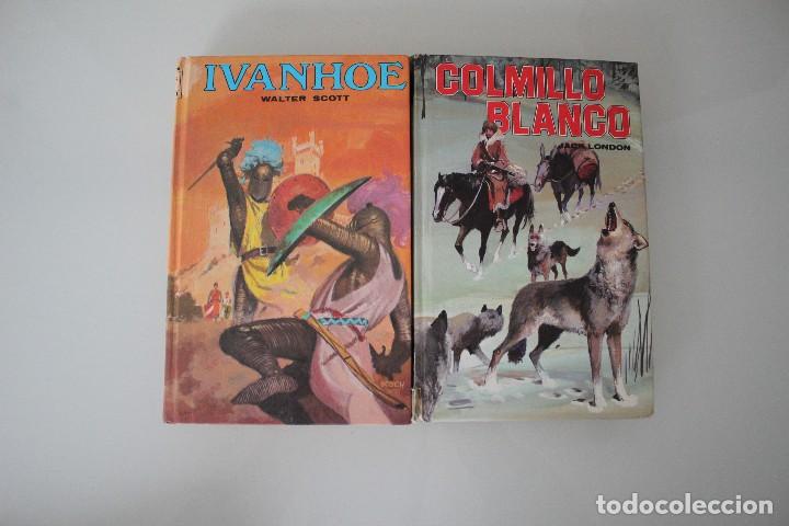 Libros de segunda mano: 2 NOVELAS DE AVENTURAS IVANHOE - COLMILLO BLANCO - Foto 1