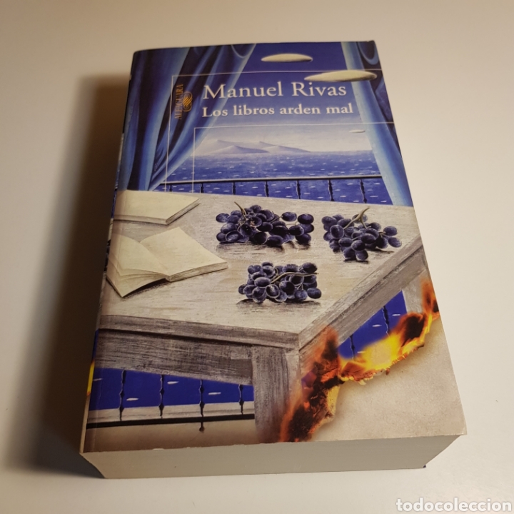 Libros de segunda mano: LOS LIBROS ARDEN MAL- MANUEL RIVAS - Foto 1