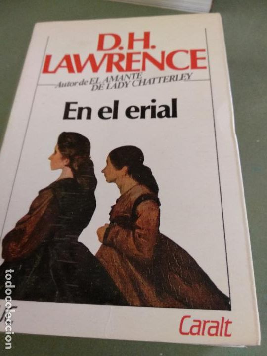Libros de segunda mano: En el erial - D. H. Lawrence - Foto 1
