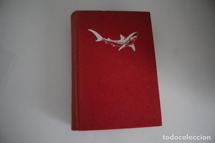 Libros de segunda mano: TIBURON - Foto 1