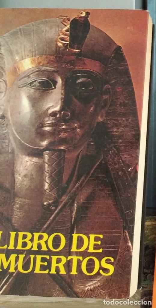 Libros de segunda mano: EL LIBRO DE LOS MUERTOS, ANONIMO, DANIELS LIBROS - Foto 1