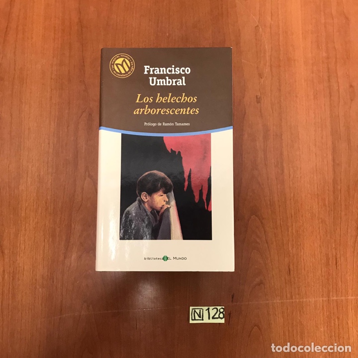 Libros de segunda mano: Los Helechos Arborescentes - Foto 1