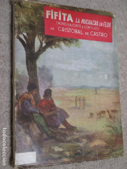 Libri di seconda mano: Fifita la muchacha en flor (novela de corte y cortijo) de Crist&oacute;bal de Castro, Ilustr de Sol&iacute;s &Aacute;vila