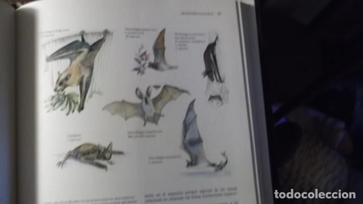 Libros de segunda mano: Charles Darwin. El Origen de las Especies - Foto 4