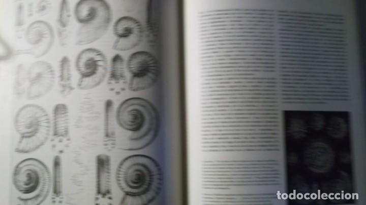 Libros de segunda mano: Charles Darwin. El Origen de las Especies - Foto 5