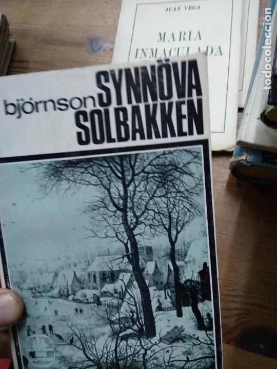 Gebrauchte B&uuml;cher: Synn&oacute;va solbakken, B. Bj&ouml;rnson. L.21260