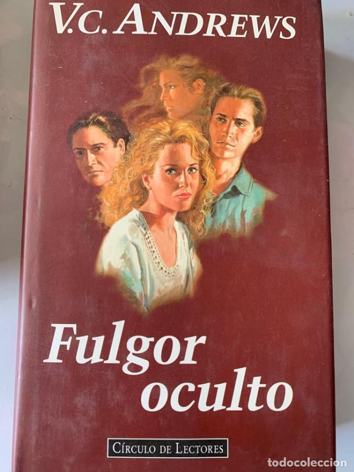 Libros de segunda mano: Fulgor oculto - V.V.Andrews - Foto 1