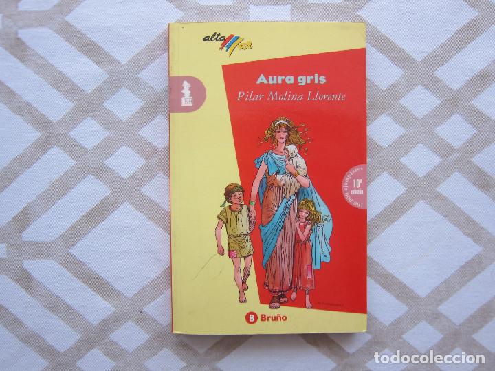 Libros de segunda mano: AURA GRIS - PILAR MOLINA - Foto 1