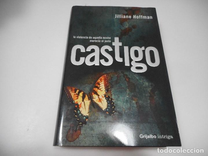 Libros de segunda mano: JILLIANE HOFFMAN Castigo Q2667A - Foto 1