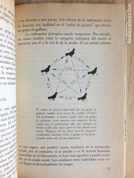 Libros de segunda mano: La conducta de los animales - J. D. Carthy - Foto 2