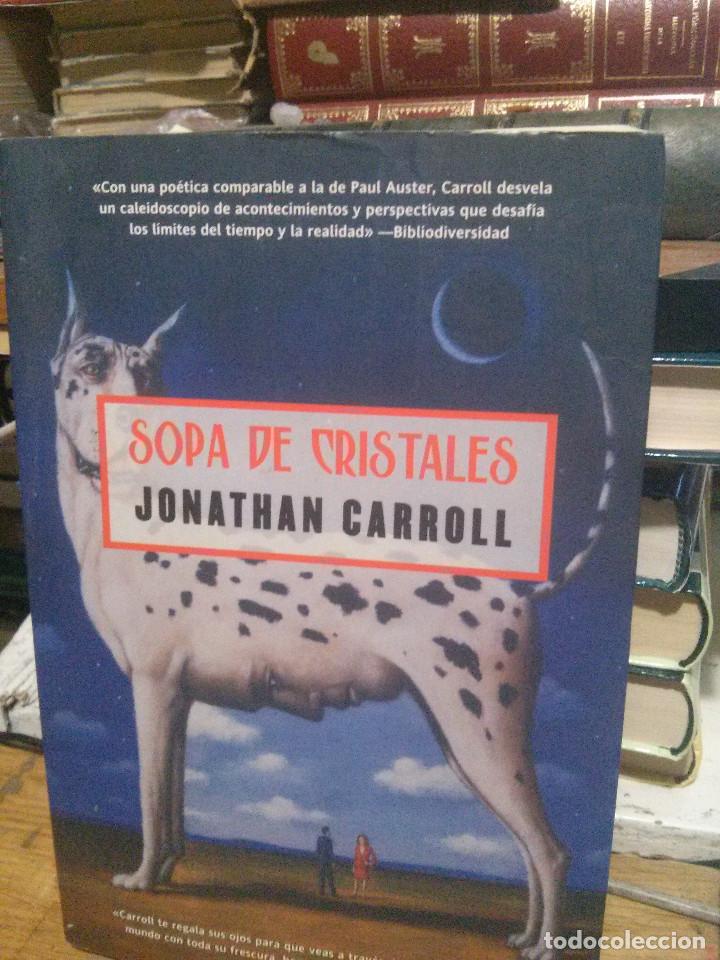 Libros de segunda mano: SOPA DE LETRAS, JONATHAN CARROLL, LA FACTORIA - Foto 1
