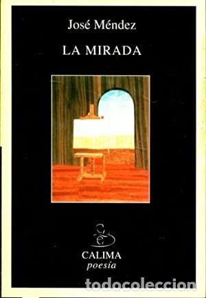 Libros de segunda mano: La mirada. Jos&eacute; M&eacute;ndez - Foto 1