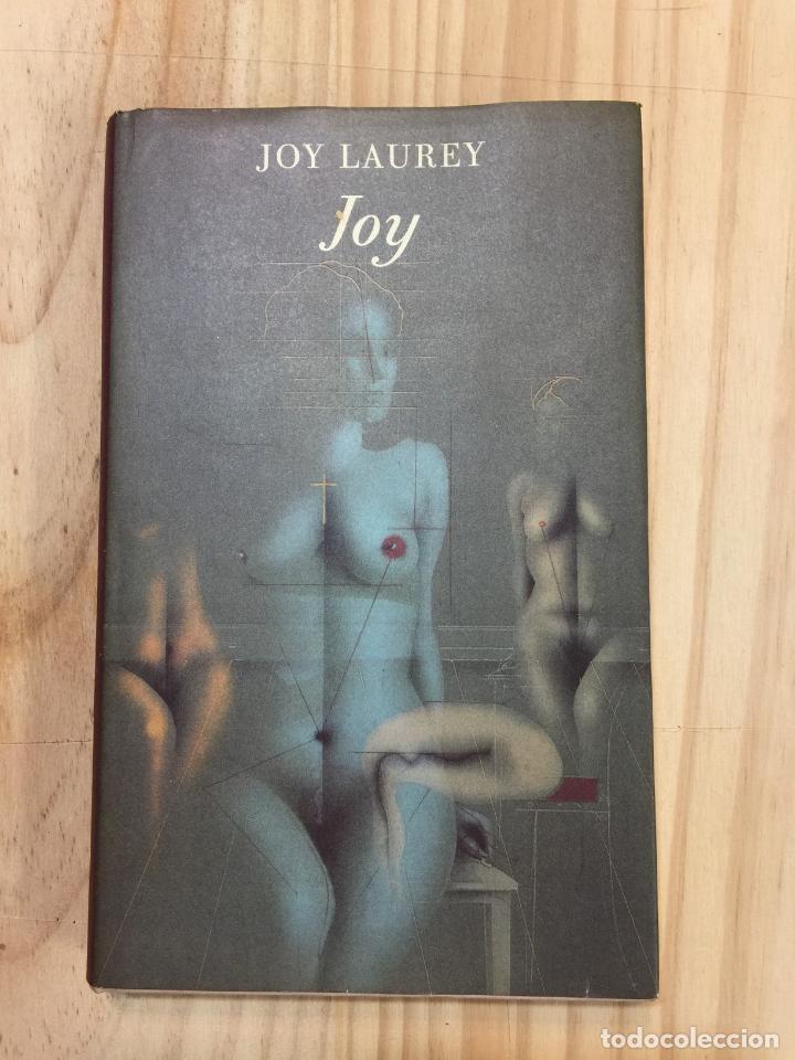 Libros de segunda mano: Joy - Joy Laurey - Foto 1