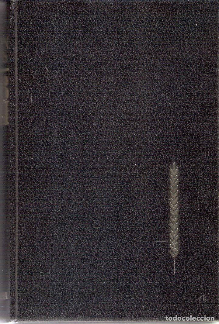 Libros de segunda mano: QB VII - LEON URIS - Foto 2