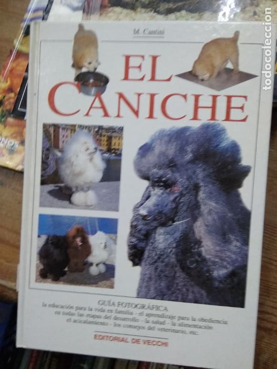 Libros de segunda mano: El caniche, M. Cantini. EP.985 - Foto 1