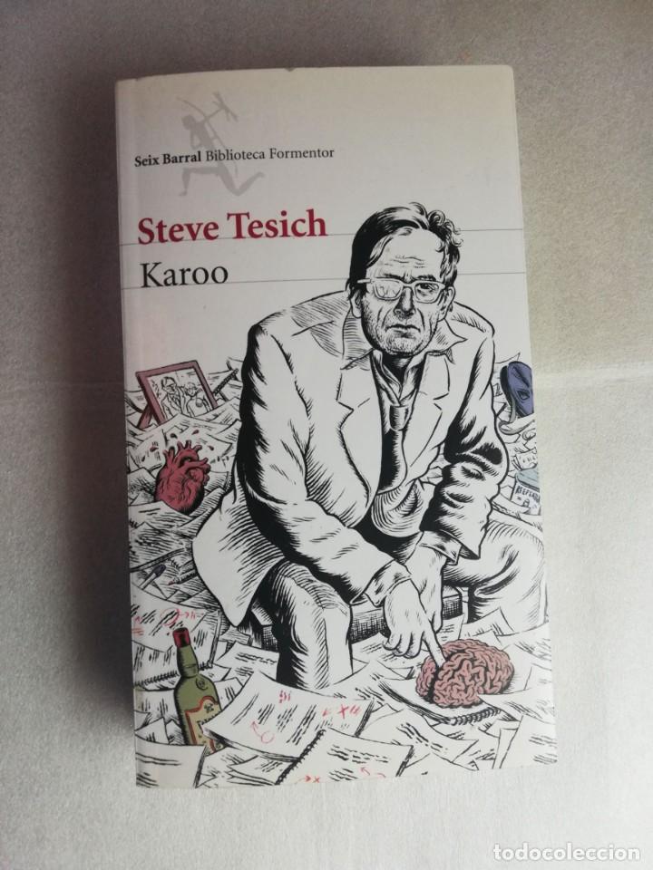 Libros de segunda mano: KAROO / STEVE TESICH / SEIX BARRAL - Foto 1