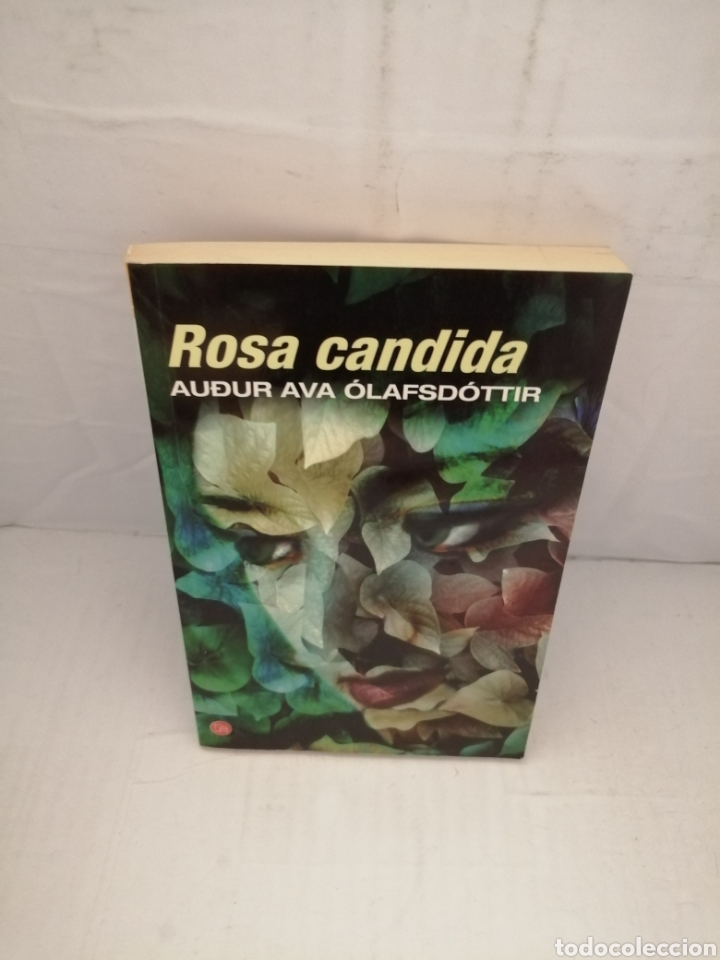 Libros de segunda mano: Rosa c&aacute;ndida (Primera edici&oacute;n) - Foto 1