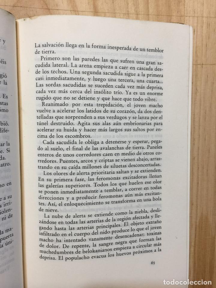Libros de segunda mano: Las hormigas - Bernard Werber - Foto 4