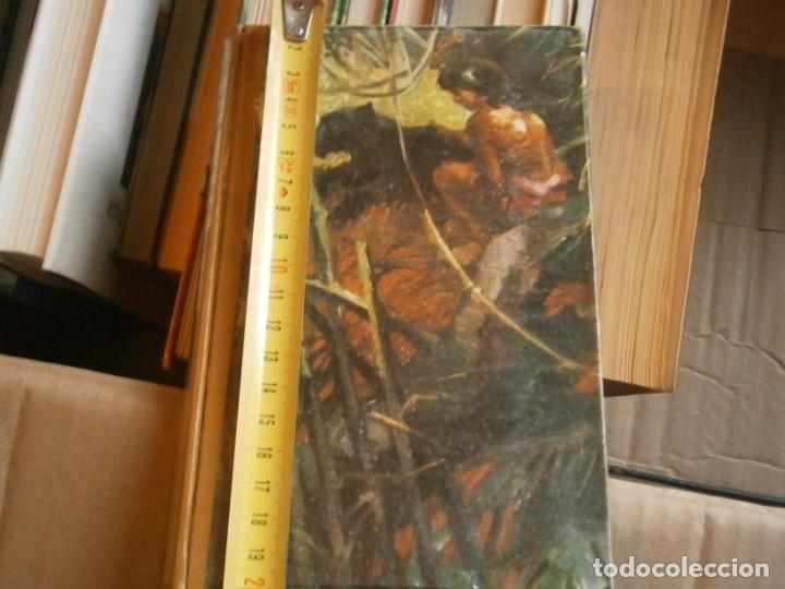 Libros de segunda mano: EL LIBRO DE LA SELVA - Foto 1