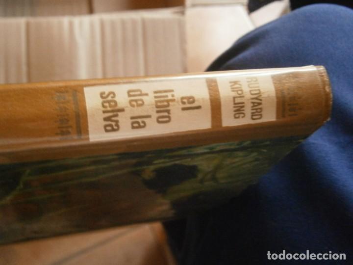Libros de segunda mano: EL LIBRO DE LA SELVA - Foto 2