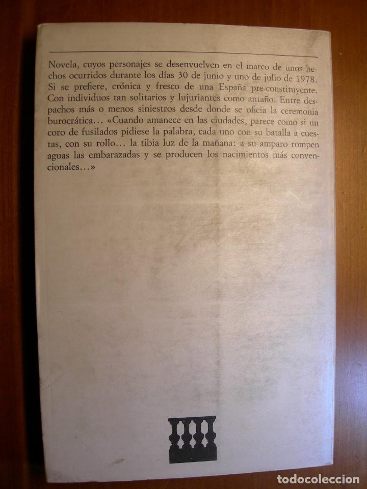 Libros de segunda mano: LA TIBIA LUZ DE LA MA&Ntilde;ANA / RAM&Oacute;N AYERRA - Foto 2