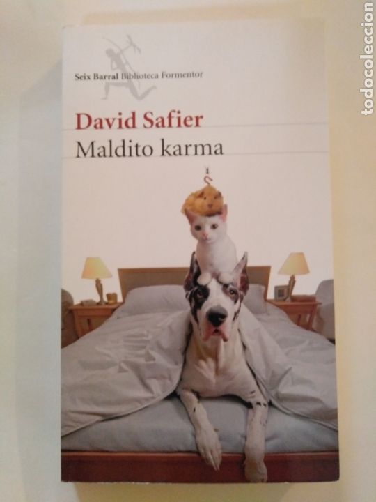 Libros de segunda mano: Maldito Karma / David Safier - Foto 1