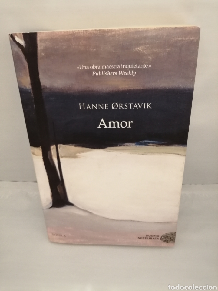 Libros de segunda mano: Amor (Primera edici&oacute;n) - Foto 1