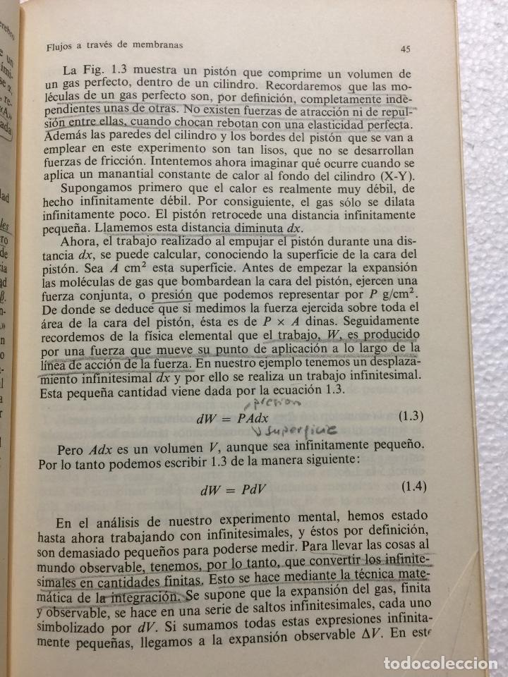Libros de segunda mano: El cerebro - C. U. M. Smith - Foto 2