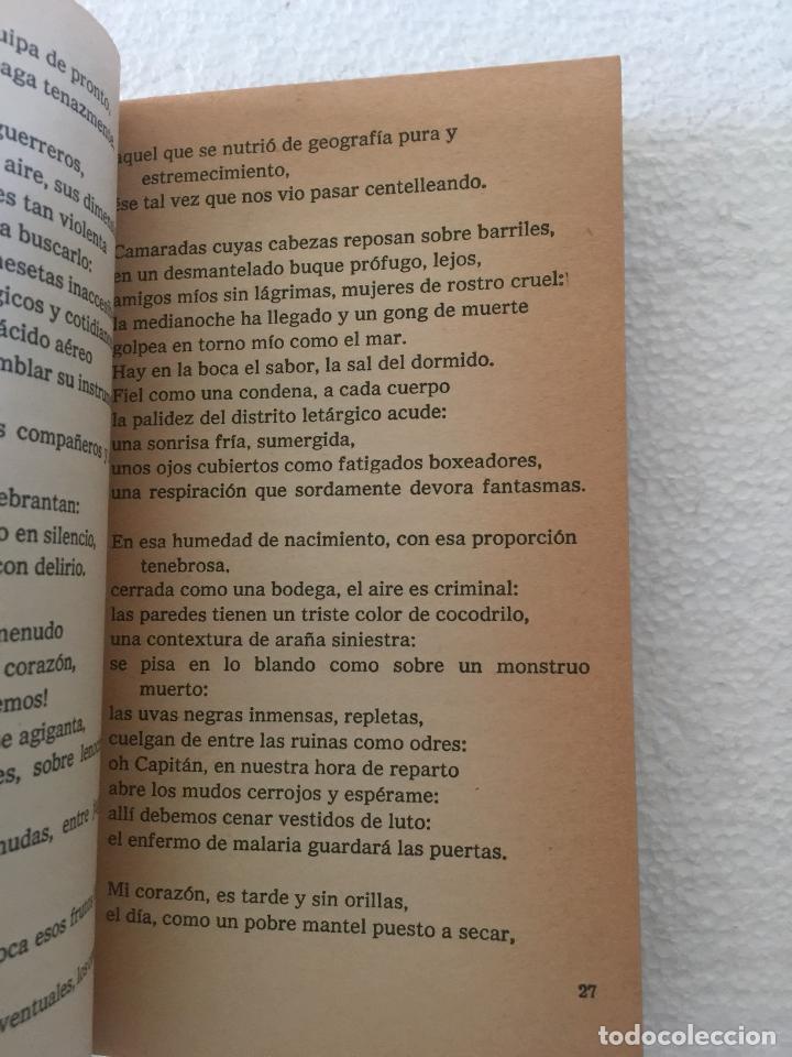 Libros de segunda mano: Residencia en la tierra - Pablo Neruda - Foto 3