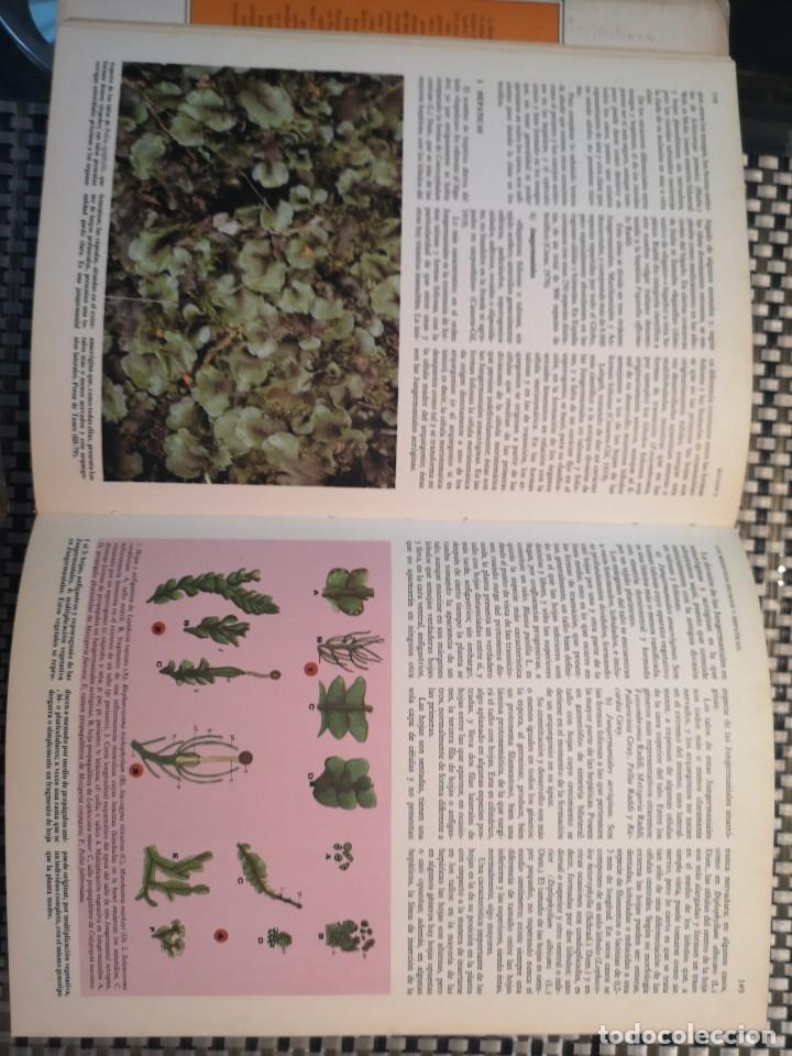 Libros de segunda mano: Bot&aacute;nica. Ediciones J&uacute;car - Foto 3