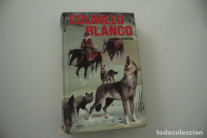 Libros de segunda mano: COLMILLO BLANCO JACK LONDON - Foto 1