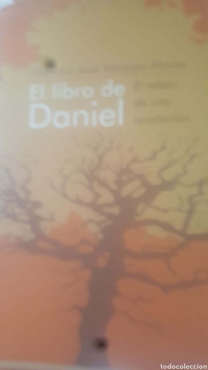 Libros de segunda mano: El libro de Daniel - Foto 1