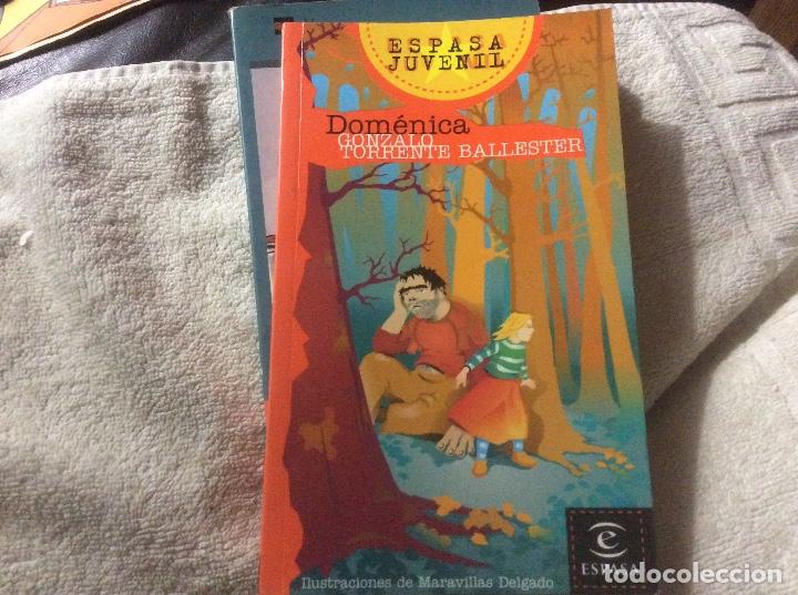 Libros de segunda mano: DOMENICA. Ilustraciones de Maravillas Delgado - TORRENTE BALLESTER, Gonzalo Espaa