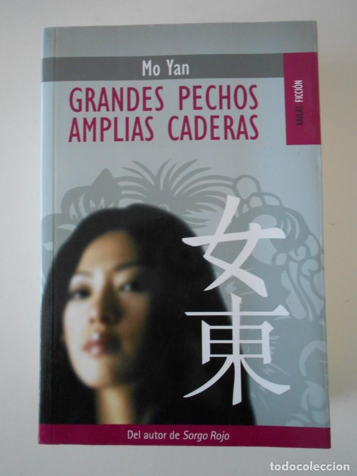 Livres d'occasion: GRANDES PECHOS AMPLIAS CADERAS. MO YAN. KAILAS FICCION, 2007. RUSTICA CON SOLAPA. 837 PAGINAS. 1010