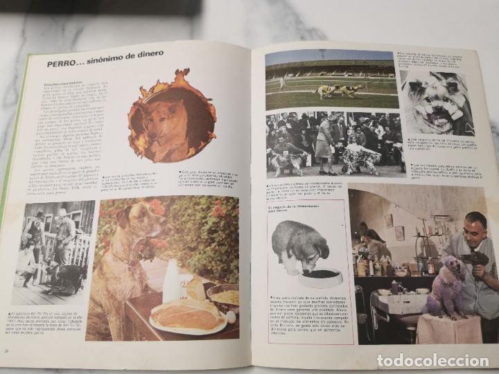 Libros de segunda mano: LOS PERROS - Foto 2