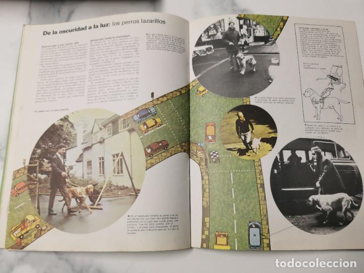 Libros de segunda mano: LOS PERROS - Foto 3