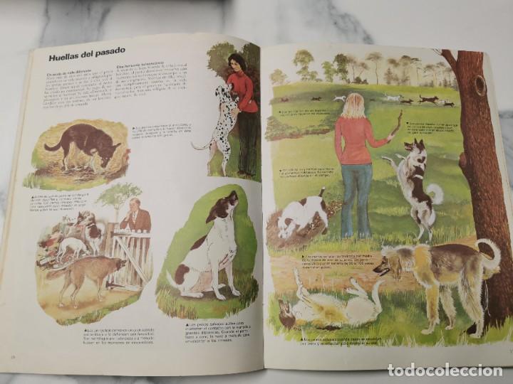 Libros de segunda mano: LOS PERROS - Foto 4