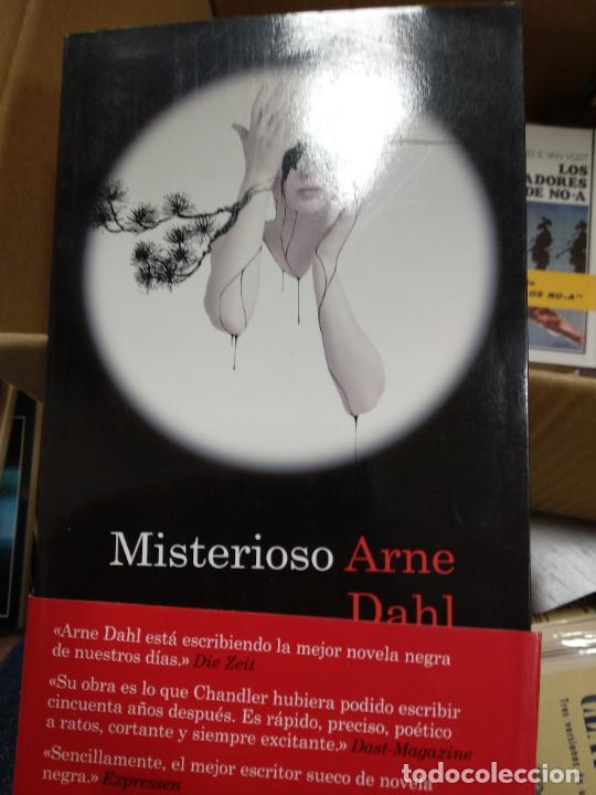 Libros de segunda mano: MISTERIOSO. ARNE DAHL. - Foto 1