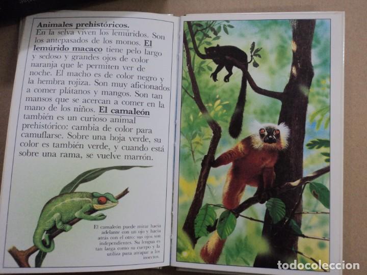 Libros de segunda mano: Las Islas del Sol - Benjam&iacute;n informaci&oacute;n - Foto 2
