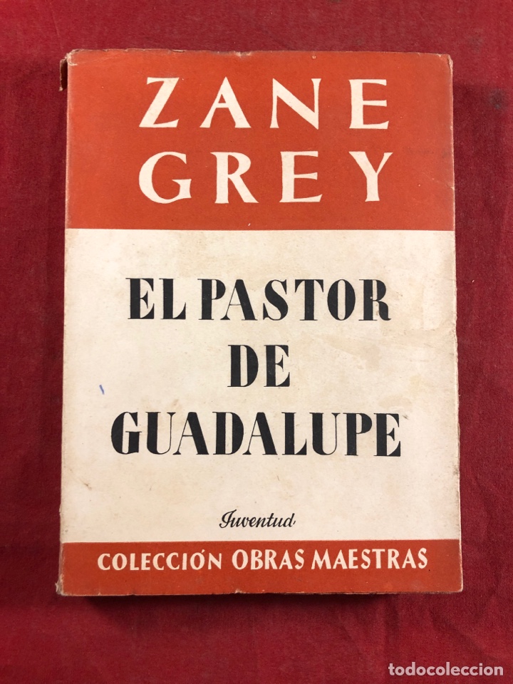Libros de segunda mano: EL PASTOR DE GUADALUPE - Foto 1