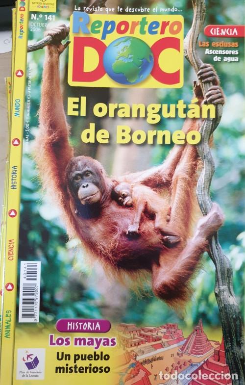 Gebrauchte B&uuml;cher: REPORTERO DOC N&ordm; 141. EL ORANGUTAN DE BORNEO. HISTORIA: LOS MAYAS, UN PUEBLO MISTERIOSO. -