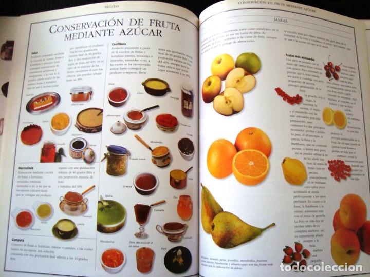 Libros de segunda mano: EL LIBRO DE LAS CONSERVAS - IMPECABLE ESTADO) - Foto 4
