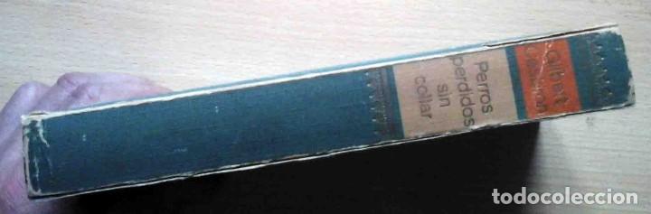 Libros de segunda mano: Perros perdidos sin collar (Gilbert Cesbron) 1967 - Foto 3