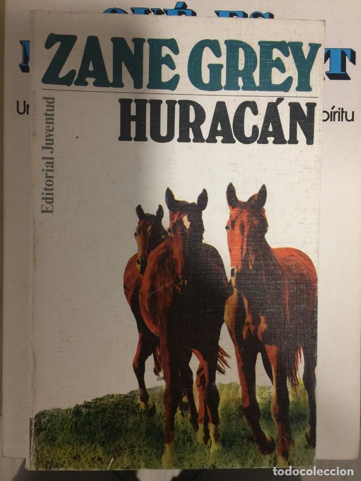 Libros de segunda mano: Hurac&aacute;n - Zane Grey - Foto 1