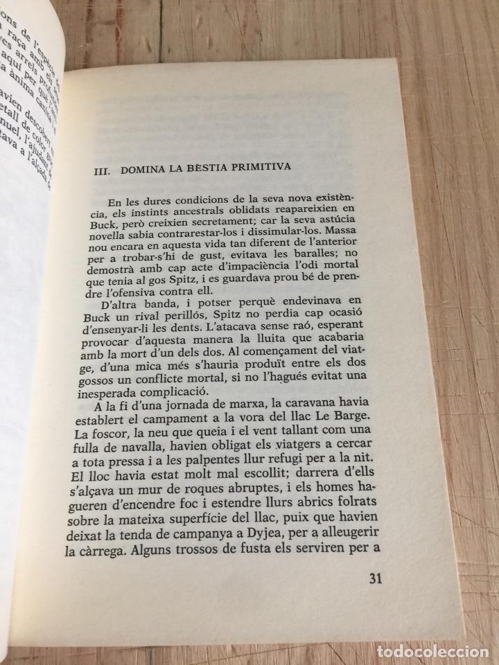 Libros de segunda mano: La crida del bosc - Jack London - Foto 2