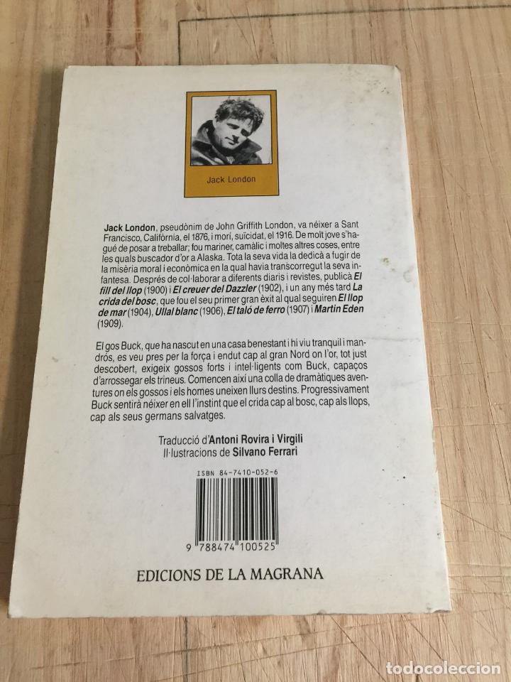 Libros de segunda mano: La crida del bosc - Jack London - Foto 3