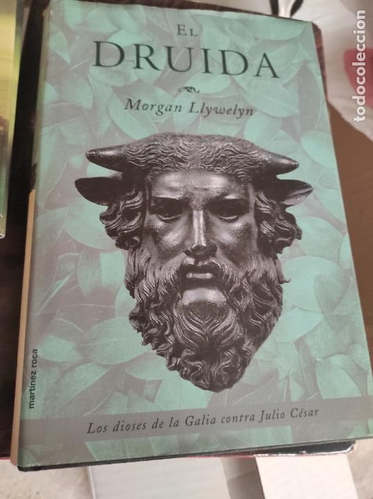 Libros de segunda mano: EL DRUIDA - MORGAN LLYWELYN - Foto 1